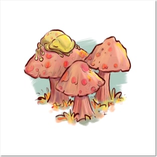 Frog sleeping on a mushroom Posters and Art